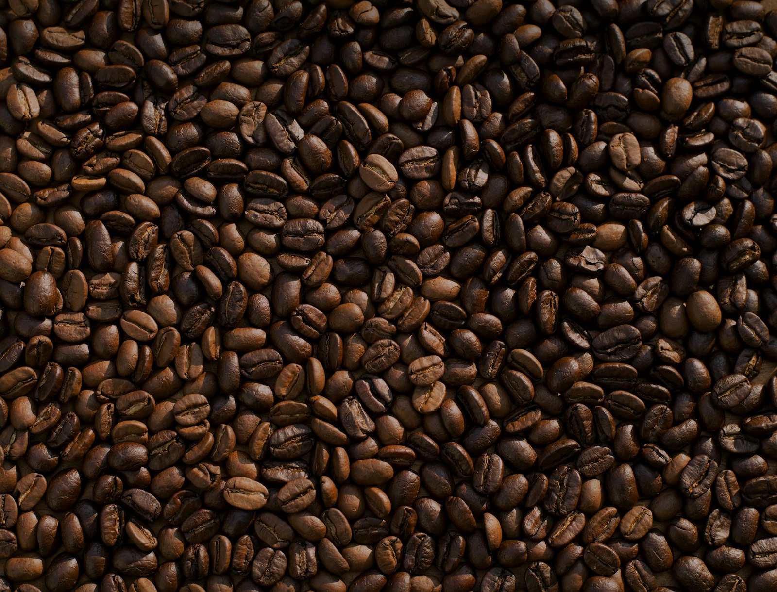 Tola coffee storefront concept: espresso in low light